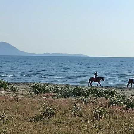 Pozzuoli-Licola Mareアパートメント エクステリア 写真