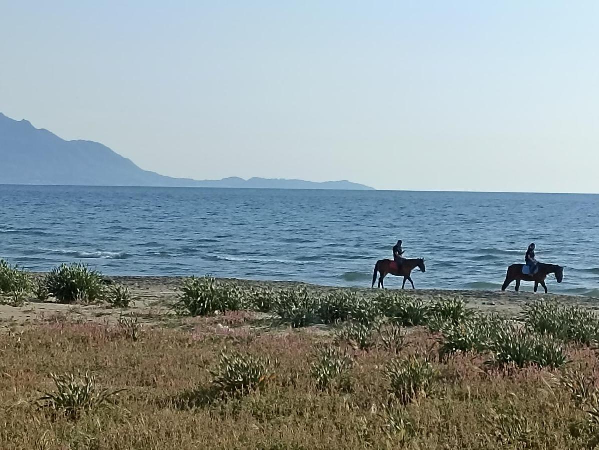 Pozzuoli-Licola Mareアパートメント エクステリア 写真